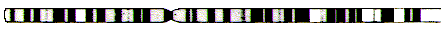 chromo2-human.gif