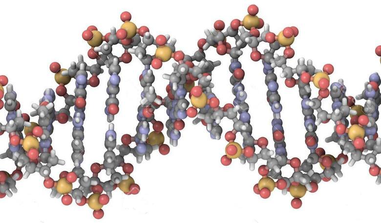 dna.jpg