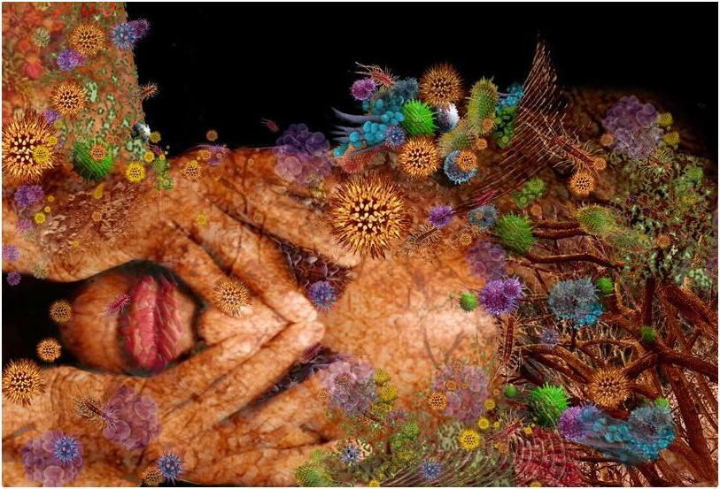 human-microflora.jpg