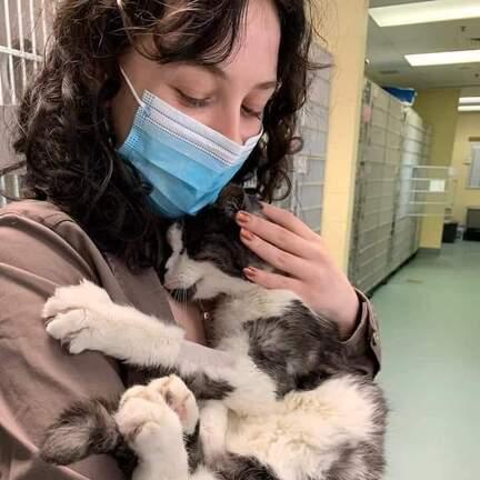 lady-holding-cat2.jpg